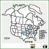 Distribution of Symphyotrichum parviceps (Burgess) G.L. Nesom. . Image Available. 