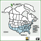 Distribution of Agrostis elliottiana Schult.. . Image Available. 