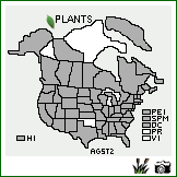 Distribution of Agrostis stolonifera L.. . Image Available. 