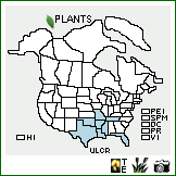 Distribution of Ulmus crassifolia Nutt.. . Image Available. 