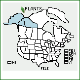 Distribution of Festuca lenensis Drobow. . 