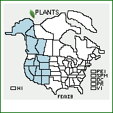 Distribution of Festuca minutiflora Rydb.. . 