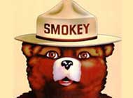 SmokeyBear.com Website