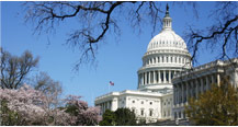 United States Capitol