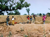 photo of women crushing millet