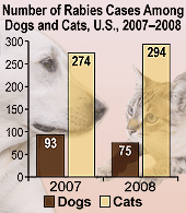 Chart: This bar graph shows the number of rabies cases among dogs and cats for the years 2007-2008. 2007: Cats (274), Dogs (93). 2008: Cats (294), Dogs (75).
