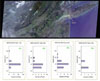 Smoke Plume Dispersal from the World Trade Center Disaster