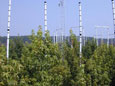 ORNL top of canopy