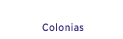 Colonias Button