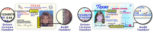 Driver License Image showing DL number and DPS Audit Number