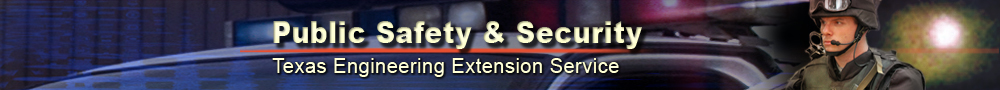 Public Safety and Security website header graphic