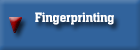 Fingerprinting