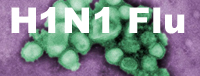 Photo of flu virus with link to H1N1 info