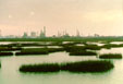 Texas Coastal Wetlands