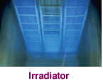 Irradiator Picture
