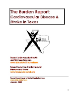 Cover of CVD Burden Report