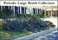 Photo of a large brush set out. Cut ends face the street. The pile is no more than 4 feet high and 15 feet long. The branches are neatly stacked, unbound, and about 4 inches in diameter.