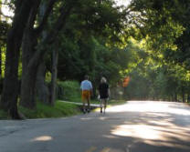 couple walking together