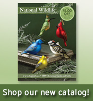 Shop our new catalog!