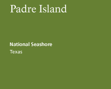 Padre Island National Seashore