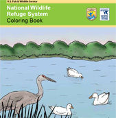 Cover of the National Wildlife Refuge Coloring Book. Credit: USFWS