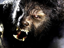 "The Wolfman"