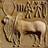 ahmed_zaidi