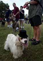 JOHN F. RHODES/Staff Photographer