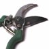 pruning shears