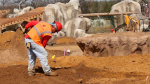 Dallas Zoo officials give sneak peak of the Giants of the Savanna habitat