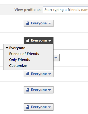 Privacy settings menu on the Privacy page