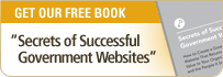 Get Our Free Book - 'Secrets of Successful Government Websites'