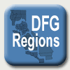 DFG Regions