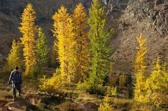 Fall Color Hikes