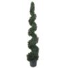 5 Ft. Indoor/Outdoor Cedar Spiral Silk Tree