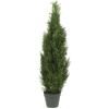 4 ft. Mini Cedar Pine Silk Tree