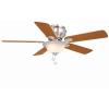 Hawkins 44 in. Ceiling Fan