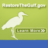 Restore the Gulf