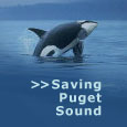 Ecology Priority: Saving Puget Sound