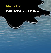 How to Report a Spill