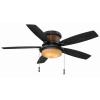 Roanoke 48 in. Indoor/Outdoor Ceiling Fan