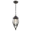 Hanging Outdoor Lantern