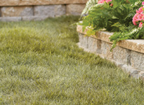 Refresh your yard with our simple spring lawn maintenance primer.