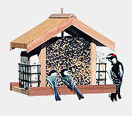 Shop a variety of bird and wildlife products, including bird houses, bird feeders and bird baths