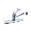 Single-Handle Kitchen Faucet in Polished Chrome