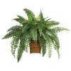 23 in. Boston Fern Silk Plant with Wicker Basket