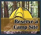 Reserve Campsite