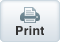 Print Icon