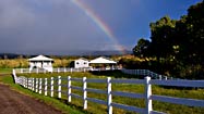 Coffee sampling in Hawaii's new growing region