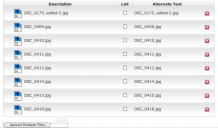 IMCE SWFUpload after completed uploads.